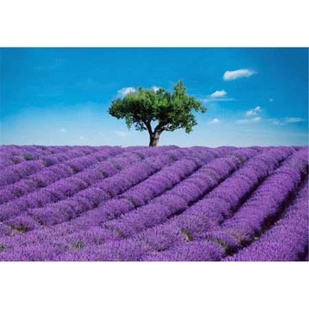 BREWSTER HOME FASHIONS Provence Wall Mural 100 in DM144
